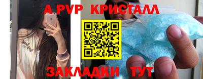 мдпв Кингисепп