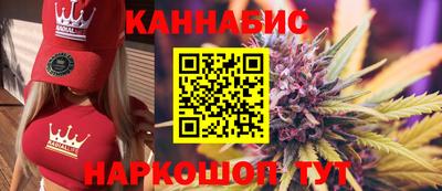 мдпв Кингисепп