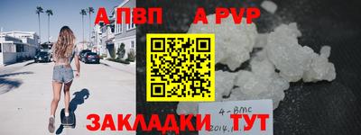 мдпв Кингисепп