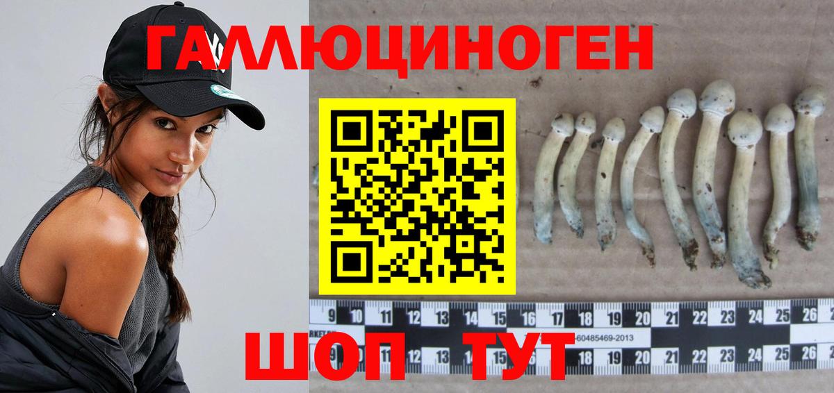 Галлюциногенные грибы мухоморы Кулебаки
