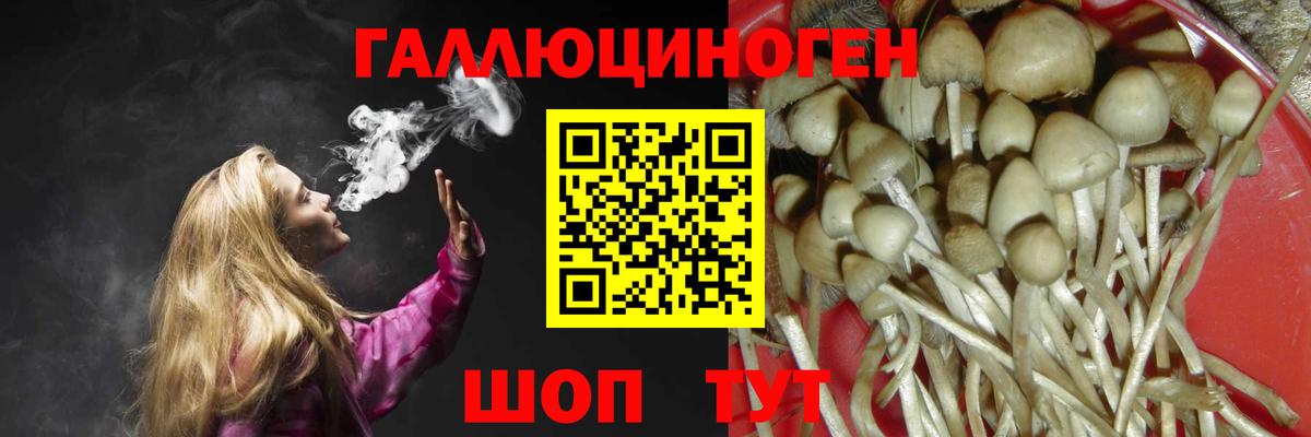 Галлюциногенные грибы Psilocybe  Вход с VPN  Кулебаки 